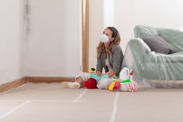 Reliable Mold Removal contractor in New Milford, IL by WQB Mold Removal